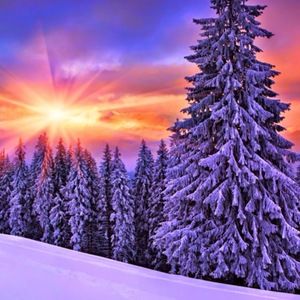 Meet your Posher, Candy